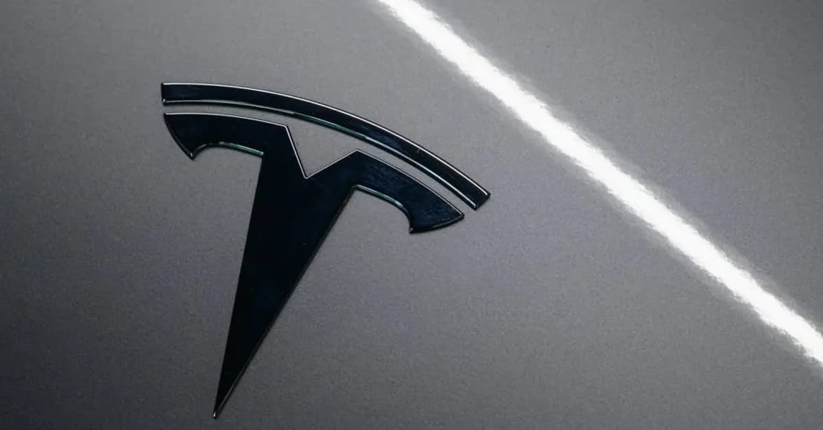 In Europe first, Netherlands to allow Teslas to self-drive