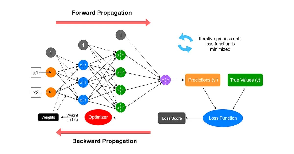 The Time Arrow of Creativity: Why AI Looks Backward and Humans Look Forward