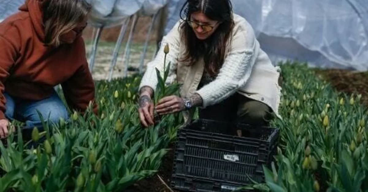 Small US farm copes with fuel hikes from Mideast war