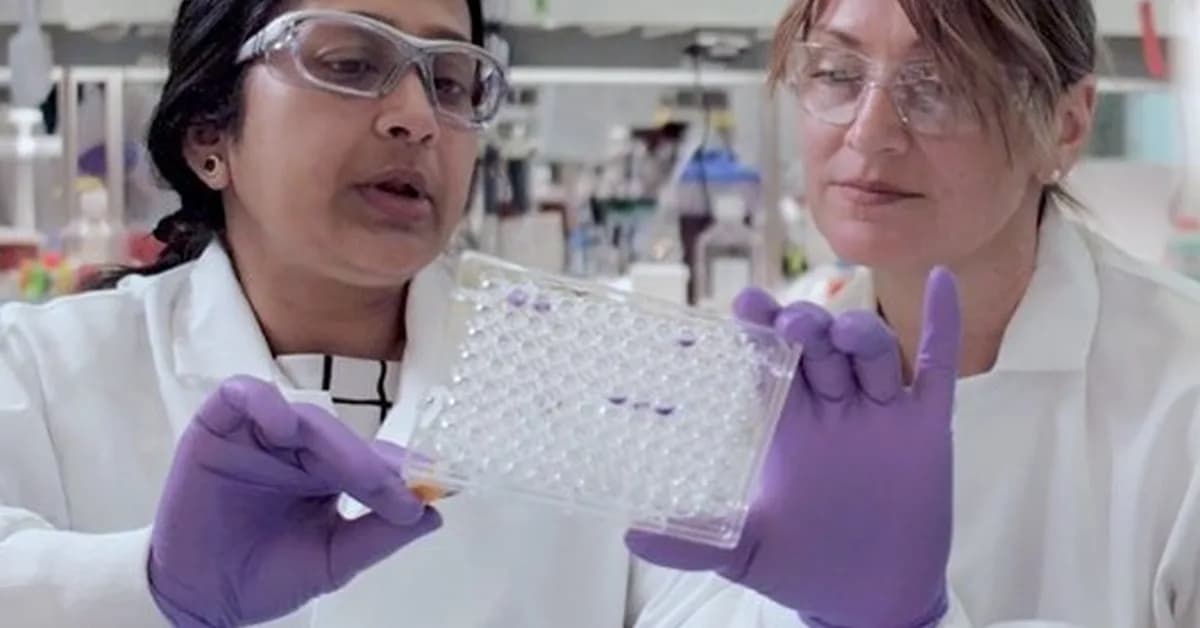 BMS, Hengrui Pharma Partner on 13 Programs in Up-to-$15.2B Collaboration