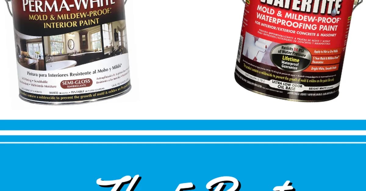 This paint may alter how builders fight mold and moisture damage