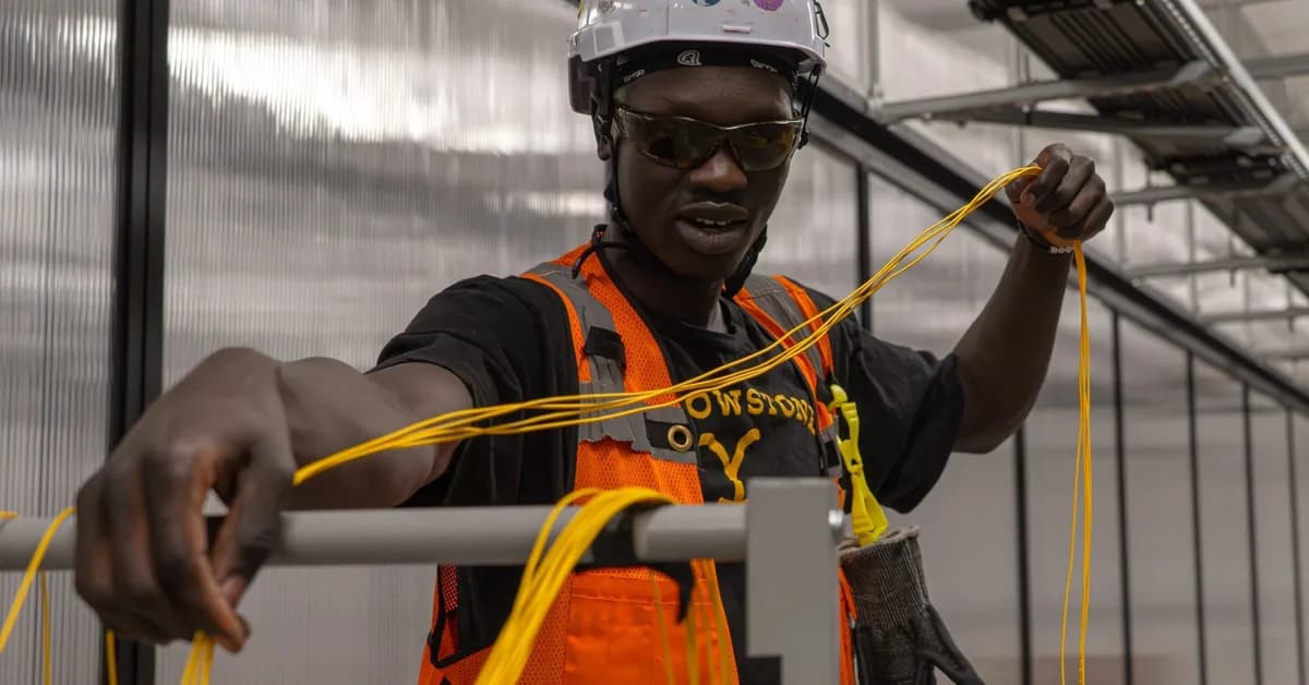 This blue-collar trade no one is talking about could help you land a fast-growing AI job