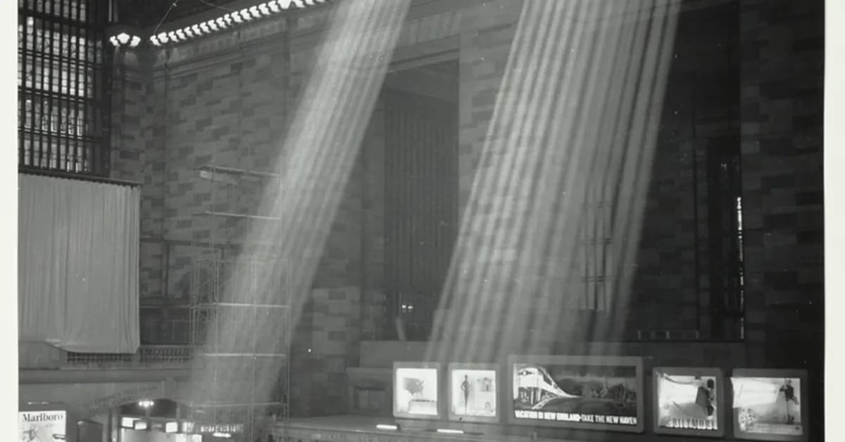 Ultra-low-light computer vision using trained photon correlations