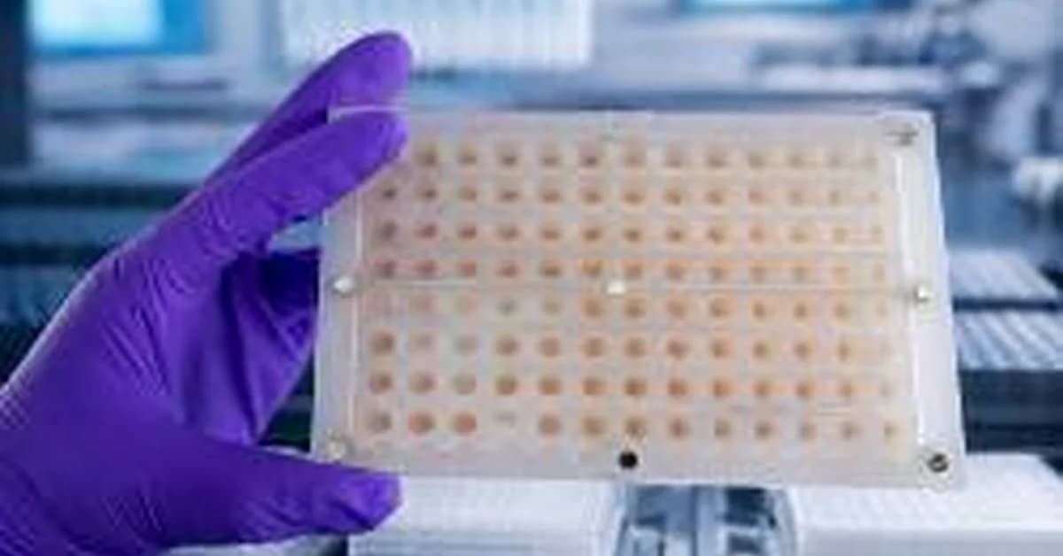 Novo Nordisk, Vivtex Ink Up to $2.1B Deal to Develop Oral Biologics for Metabolic Conditions