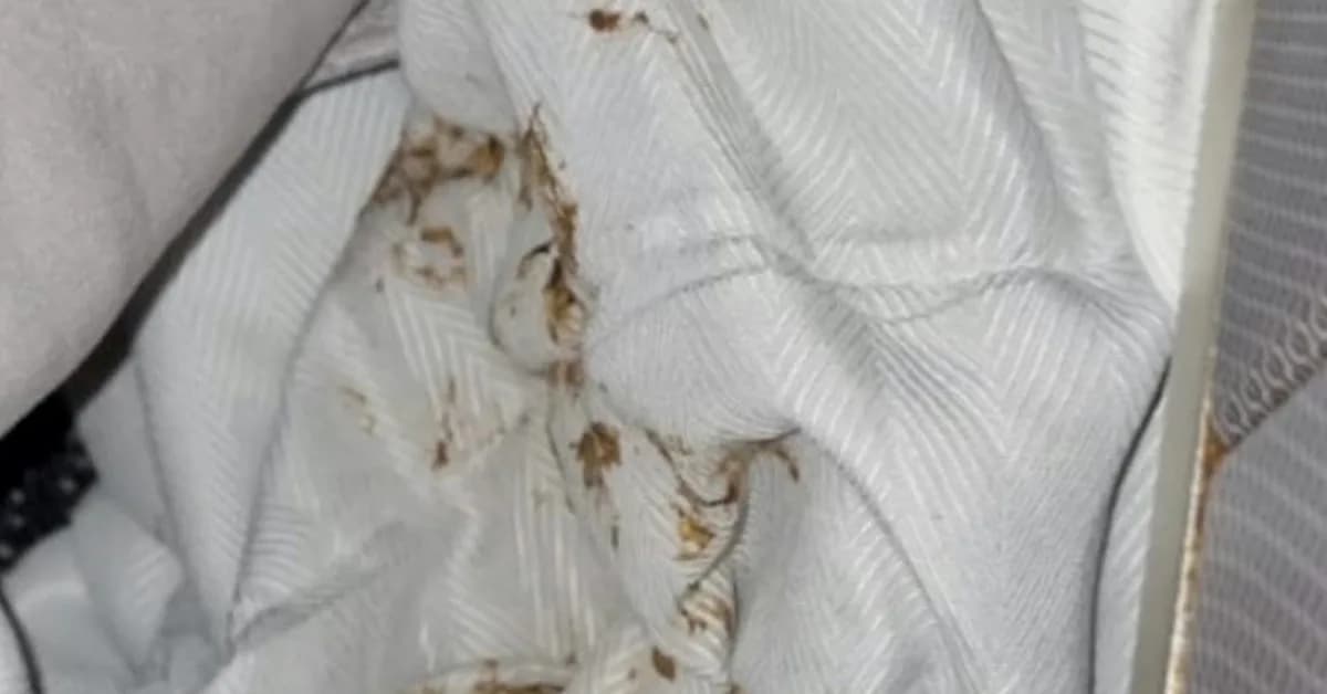 United Business Class Passenger Finds Poop-Covered Blanket At Seat, Forced To Sit There Anyway