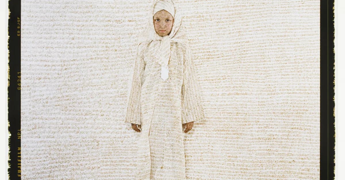 The Meta-Harness Convergence