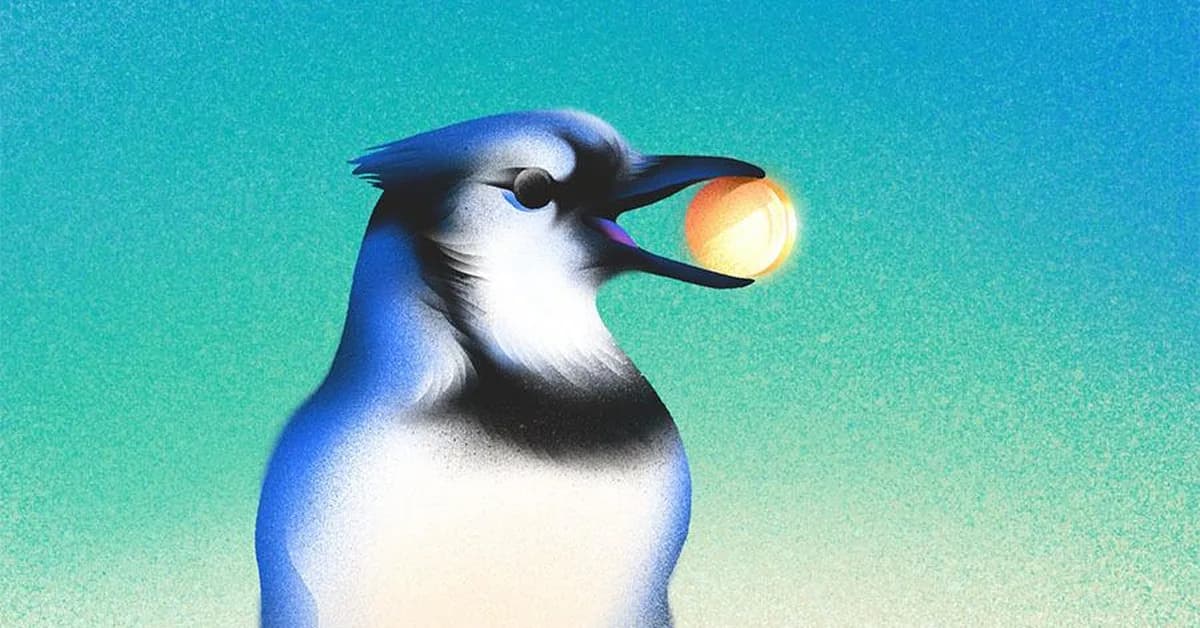 Seed Funding Is Bigger Than Ever - And Harder To Get