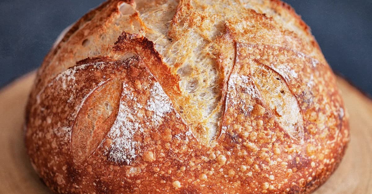 Making my own bread is my favorite way to save money on groceries. Here are my top 8 sourdough tips for beginners.