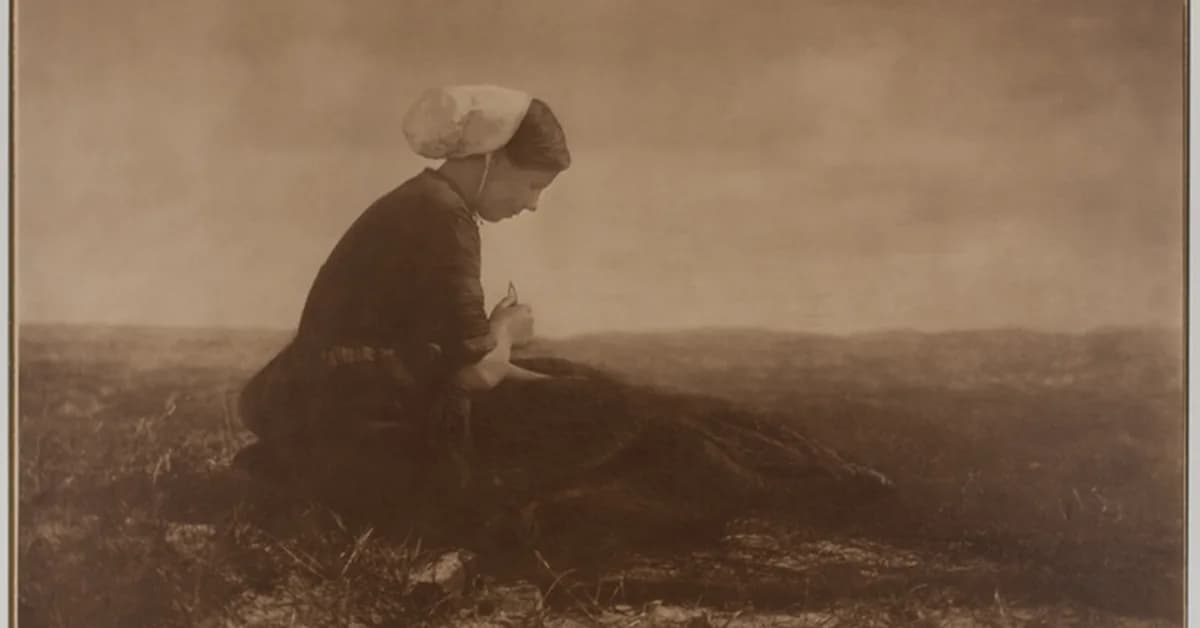 Swift .NET Bindings: The Objective Sharpie Replacement for .NET MAUI and iOS