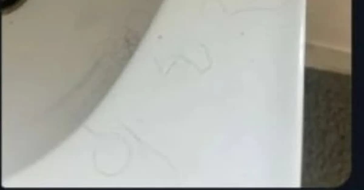 Renter dispute sparks debate about fines