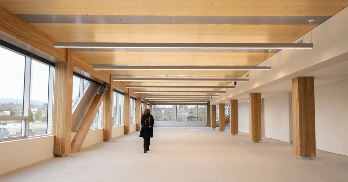 The skylines of the future will be made of wood