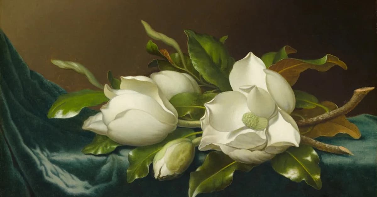 Head Start Programs Face Funding Squeeze