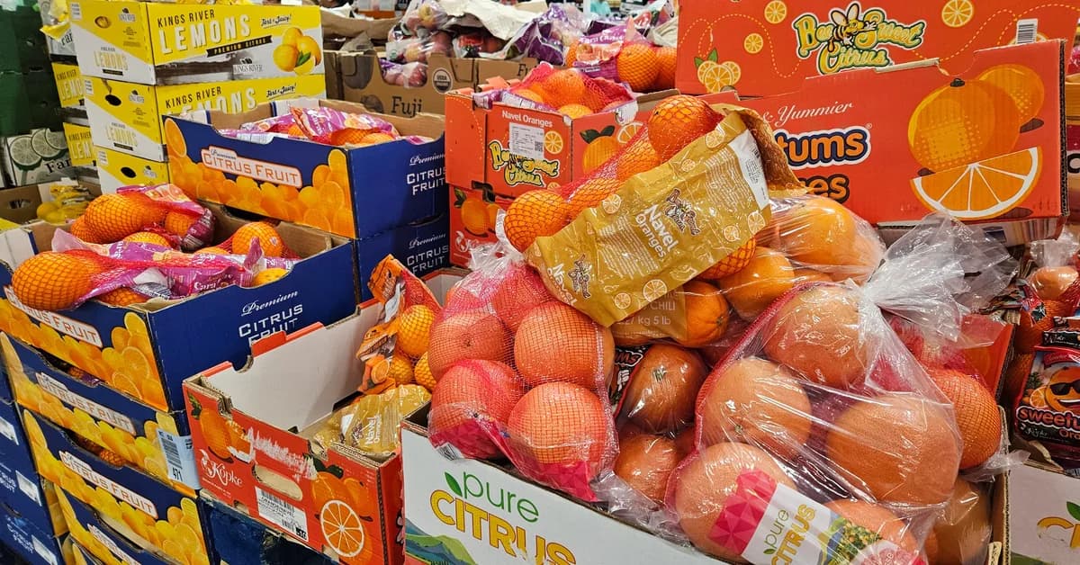 I lost 125 pounds in a year. Here are 8 items I always buy at Costco to meal prep for myself and my family.