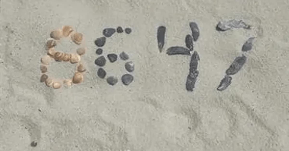 It Was Spelled In Seashells By The Seashore. The DOJ Now Pretends It's A Felony.