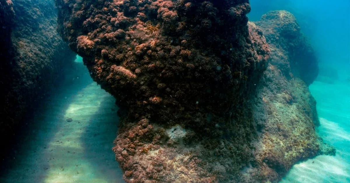 EU monitor says sea temperatures near all-time highs as El Nino looms