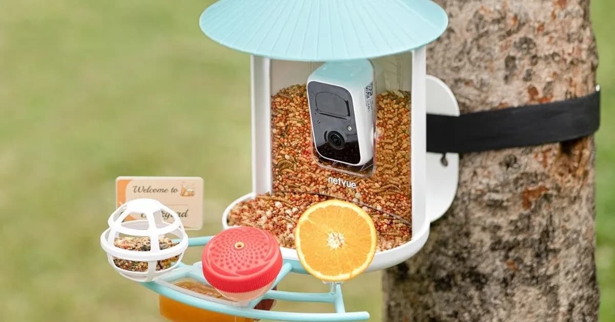 Birdfy's smart bird feeder is down to its best-ever price for Mother's Day