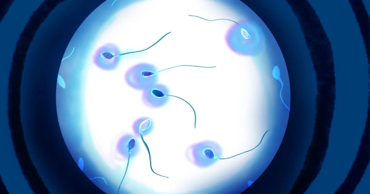 Should semen analysis become the Pap smear for men? Some men's health experts say yes