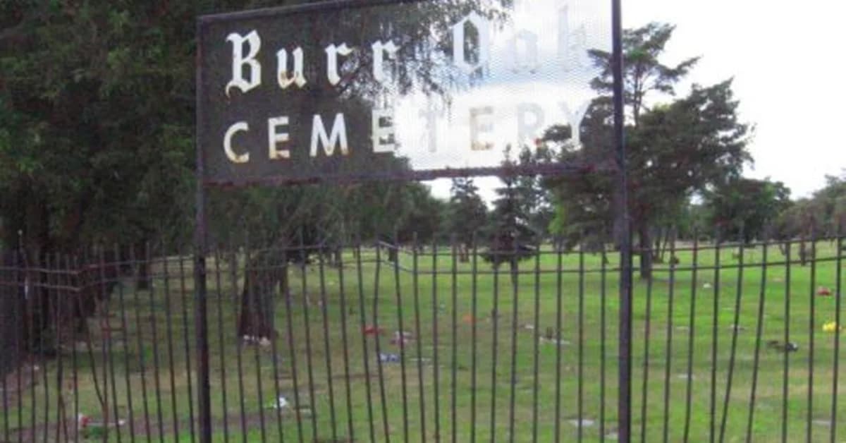 How moss helped convict grave robbers of a Chicago cemetery