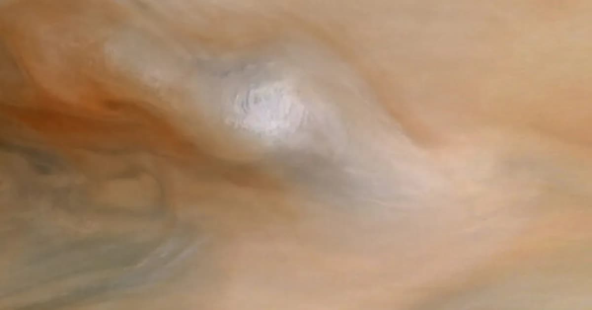 A mission NASA might kill is still returning fascinating science from Jupiter