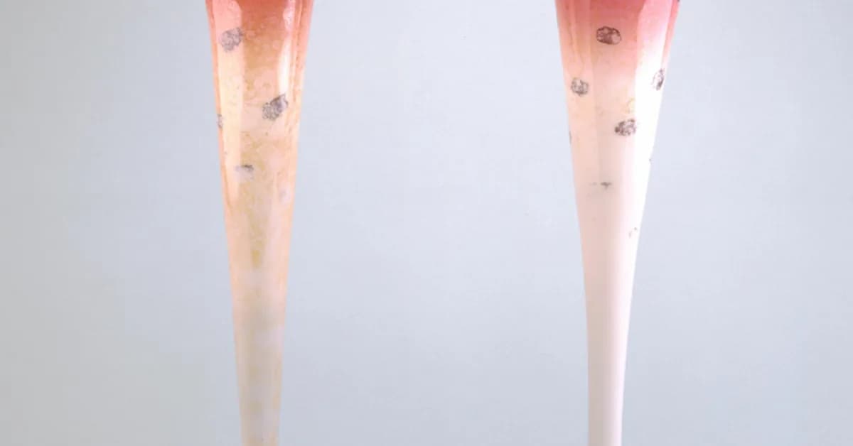 FNF adds nine senior title and agency professionals across New England