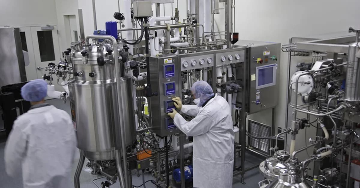 Cutting Costs in Serum-Free FGF2 Processing With Recycled Media