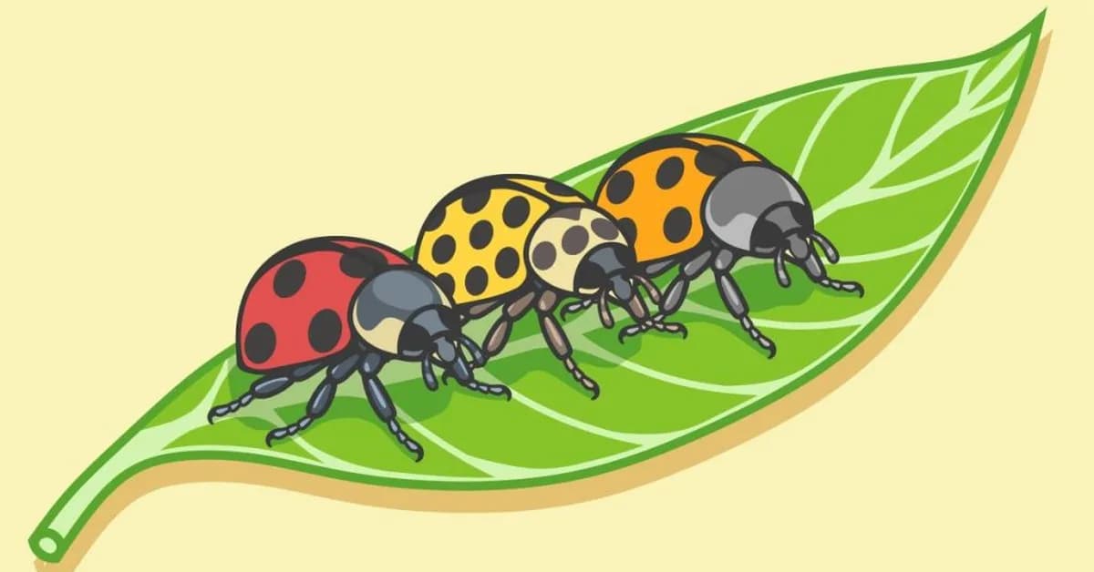 The debugging wars: Cursor 3 takes aim at Claude Code's agentic edge