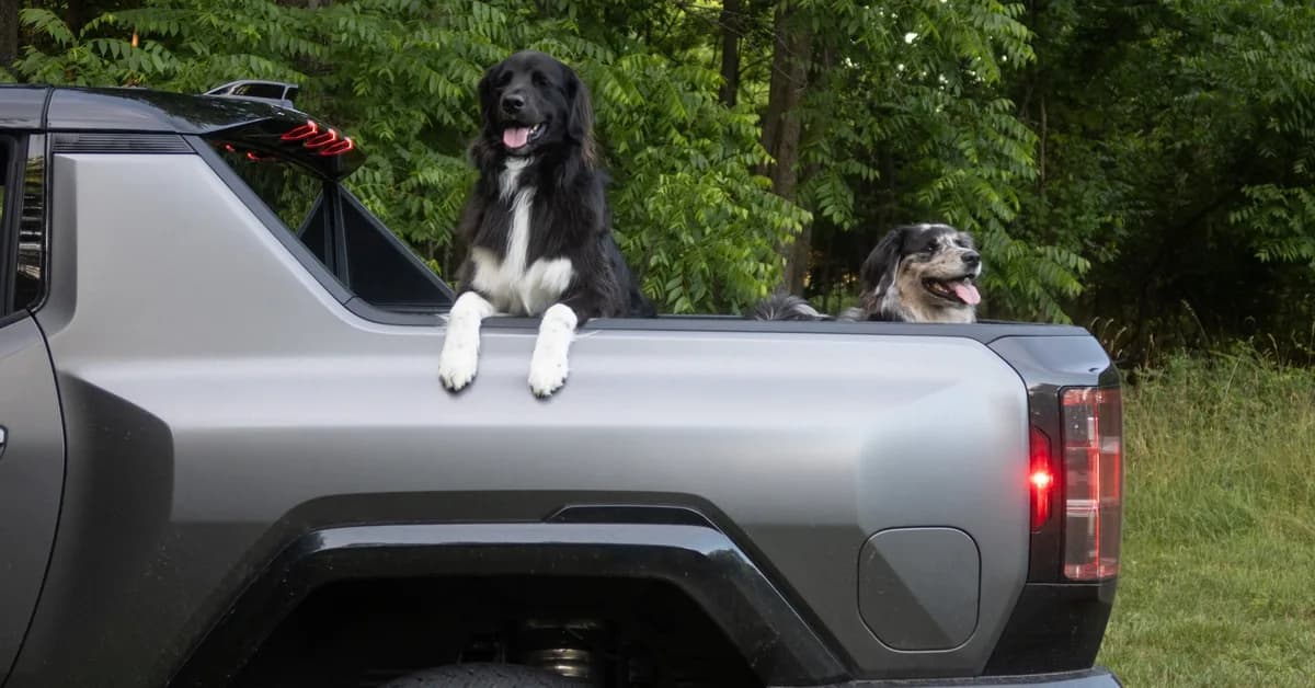 2026 Hummer EV Pickup Truck: The Dog Review
