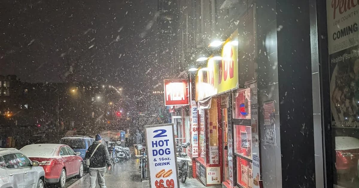 NY Bar Exam Tells Applicants Stranded By Historic Blizzard To Pound Snow