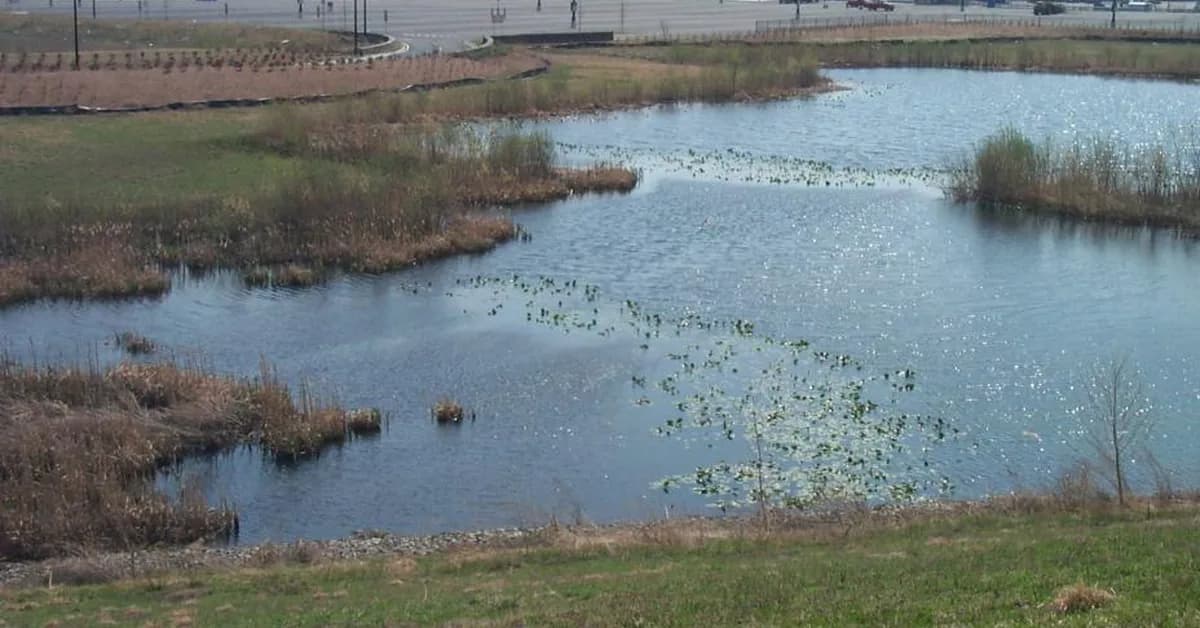 New Jersey Leads the Nation in Superfund Sites as EPA Funding Cuts and Staff Reductions Threaten Cleanups