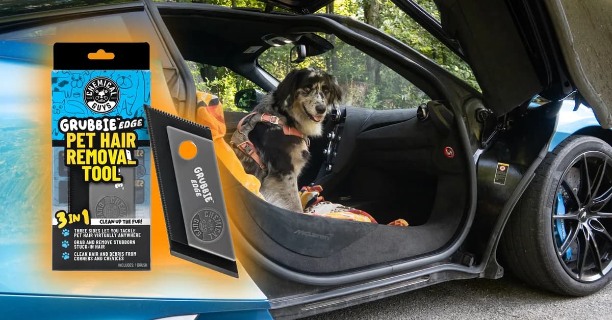 Drive With a Dog? This Pet Hair Remover Works Great