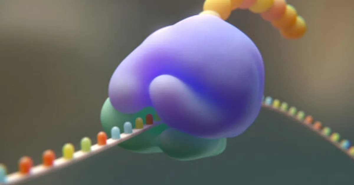 Researchers try to cut the genetic code from 20 to 19 amino acids