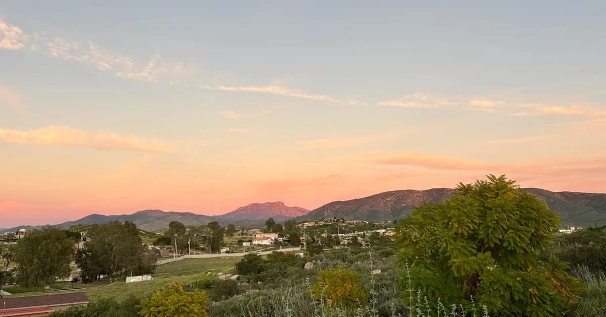 I'm a sommelier and travel advisor. There's just one wine region I'm telling everyone to visit this summer.