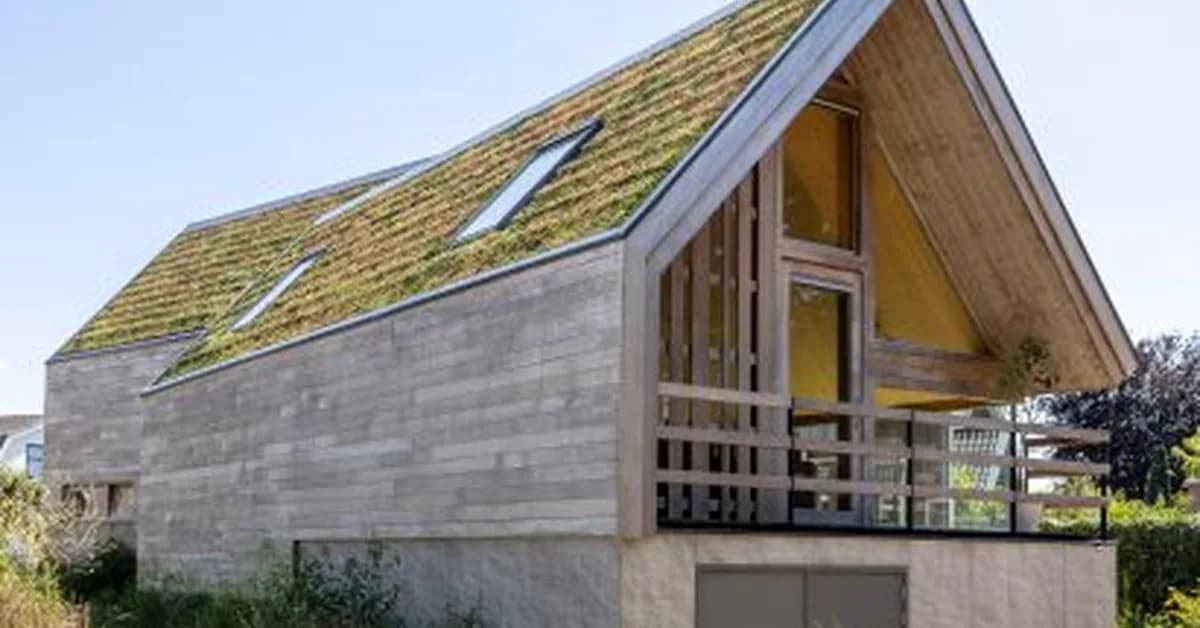 Woonpioniers opts for "modernity tucked inside tradition" at timber-lined Dutch home