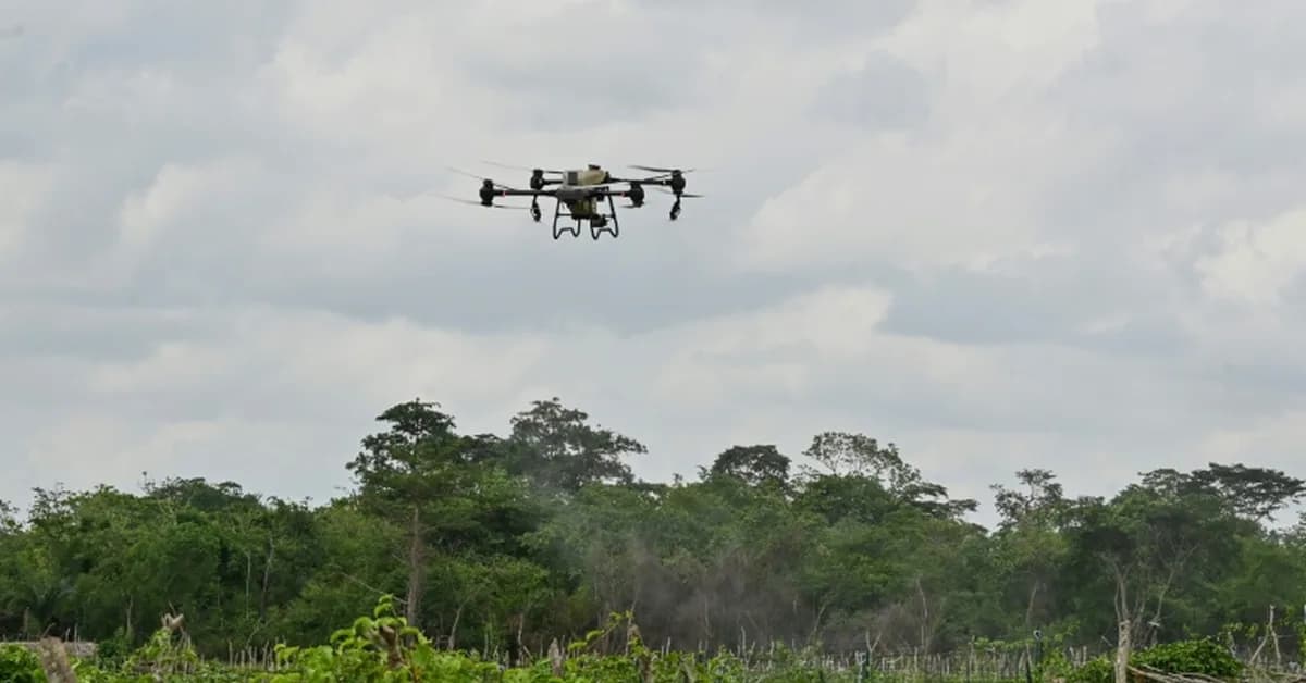 Bird's eye view: Canada's drone economy is taking off