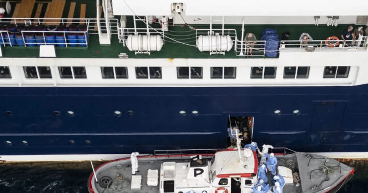 Key takeaways from WHO briefing on hantavirus cruise ship outbreak