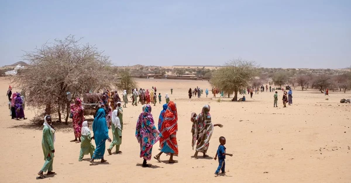 Sudan: 1000 days of war deepen the world's worst health and humanitarian crisis