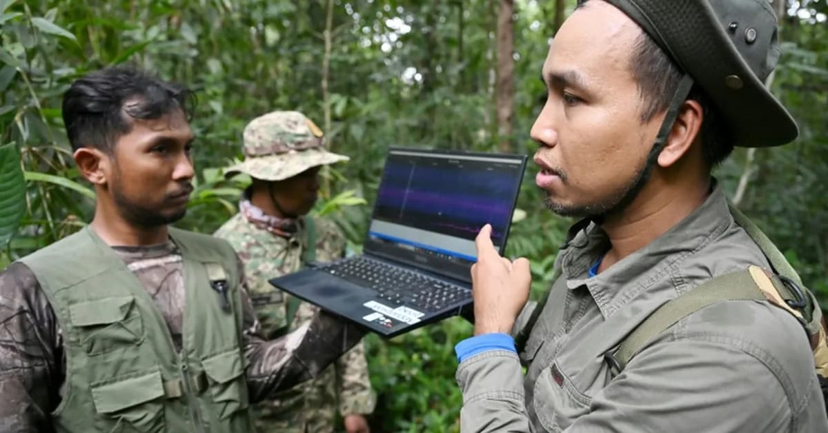 Secret cameras, mics and AI reveal rare Cambodia wildlife