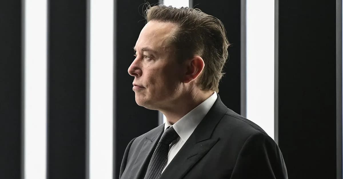 Elon Musk takes a dig at Waymo's pet collision history and says Tesla Robotaxi has a solution