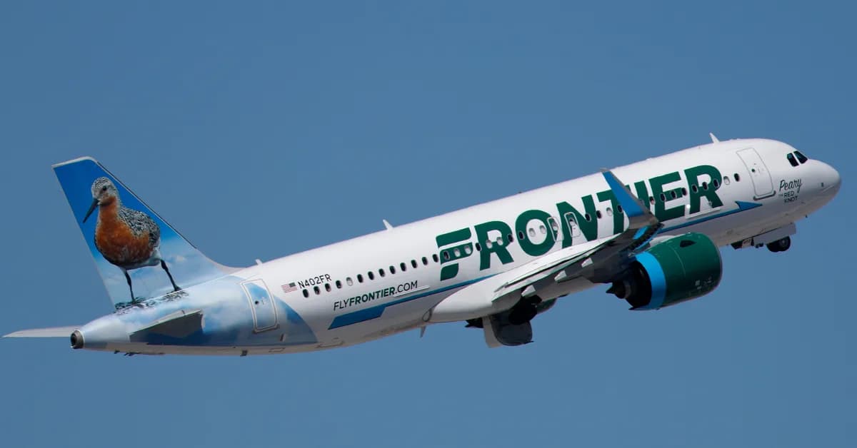 A Frontier Airlines flight reported it struck a pedestrian at Denver International Airport