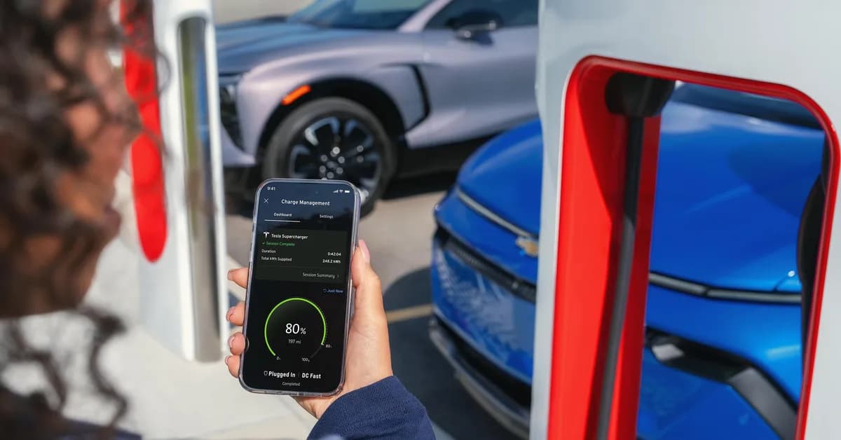 China clamps down on inaccurate EV battery claims