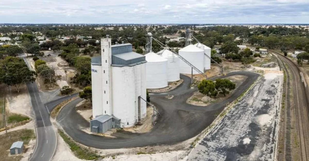 Global grain giant Bunge offloading SA silos