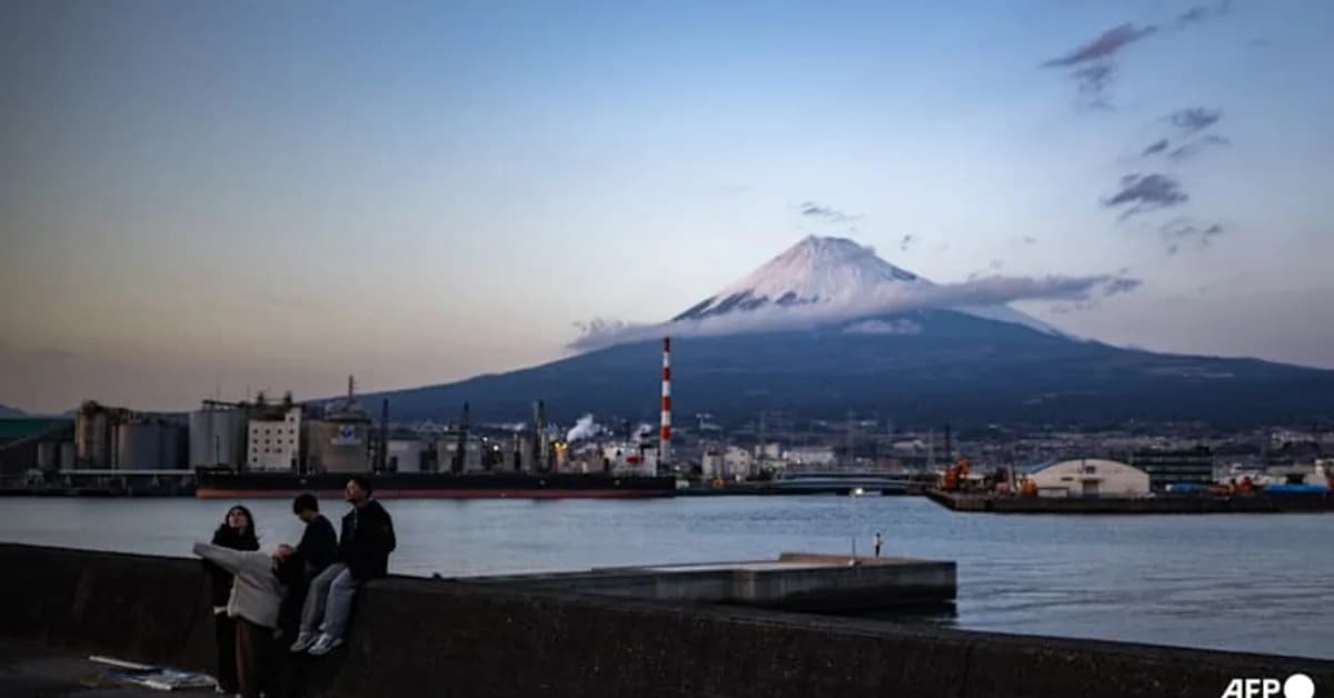 Chinese visitors to Japan plunge 45.2% in February