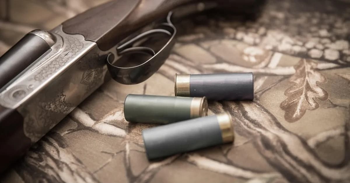 Ohio Supreme Court Ruling Would Restore Gun Rights to Those Convicted of Domestic Violence by C. Ellen Connally