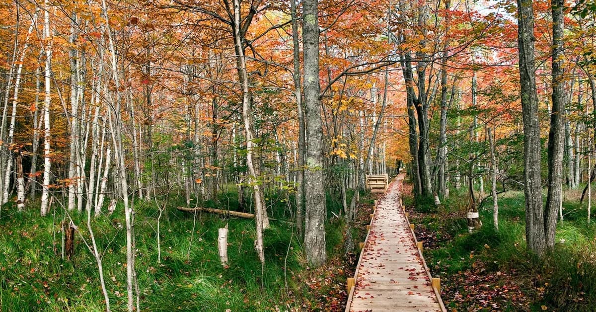 The best US national parks you should visit at least once (or twice)