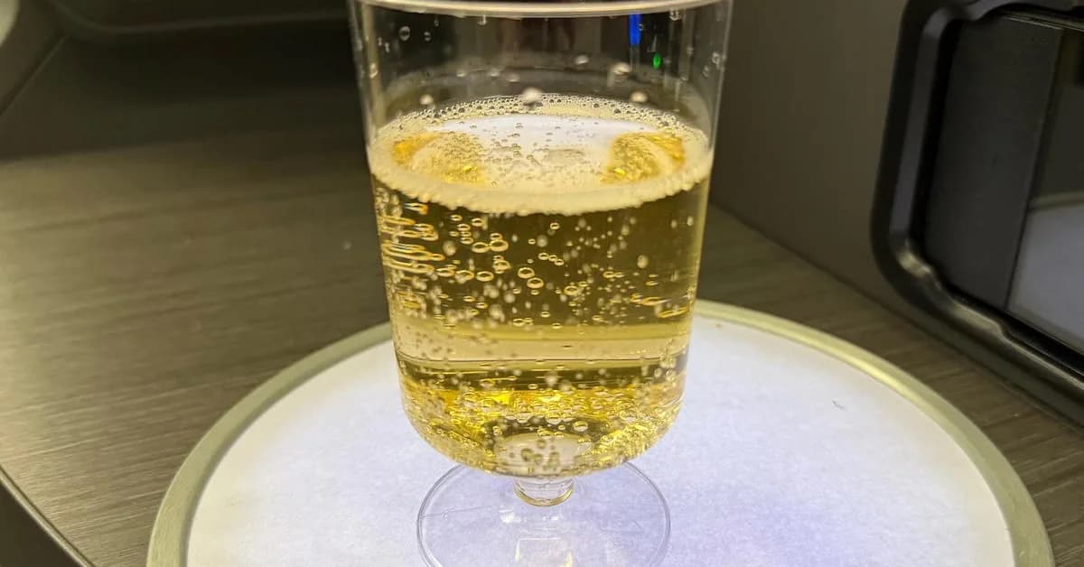 New FAA Rules Around Clearing Plastic Cups Are Absurdly Stupid: Are Plastic Cups A Safety Hazard?