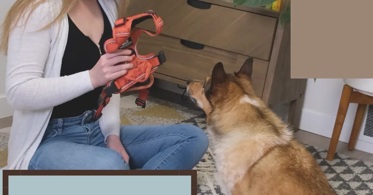 Review: 'Alpha' harnesses the fear of sickness