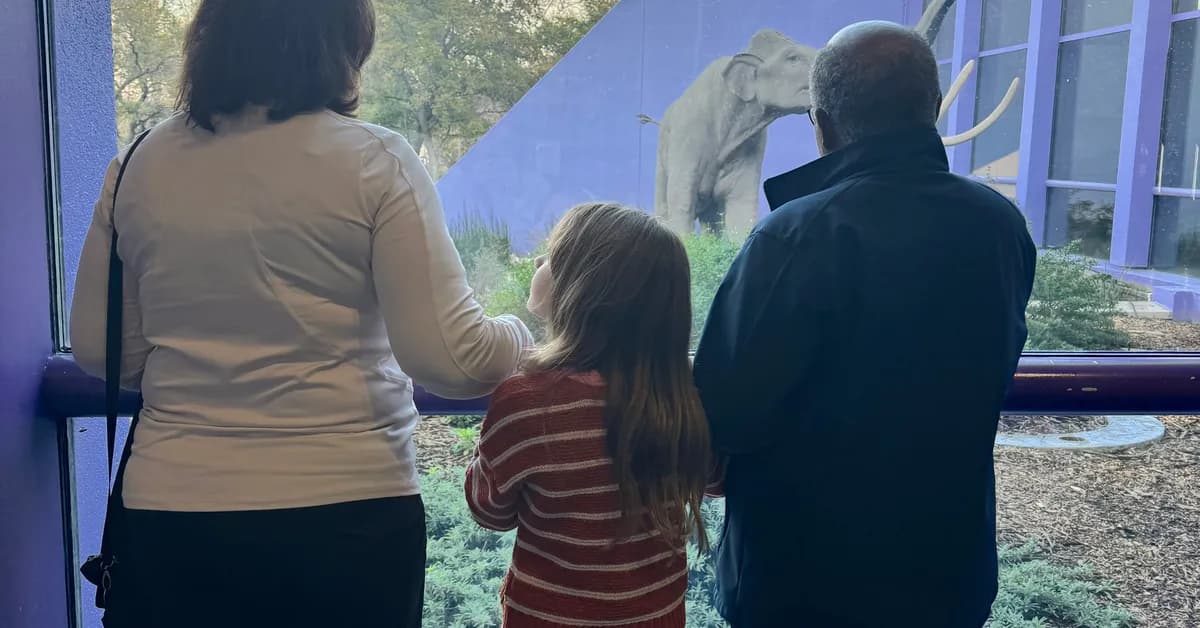 I prefer taking family trips with my in-laws. It reduces my mental load, and my kids love spending time with their grandparents.