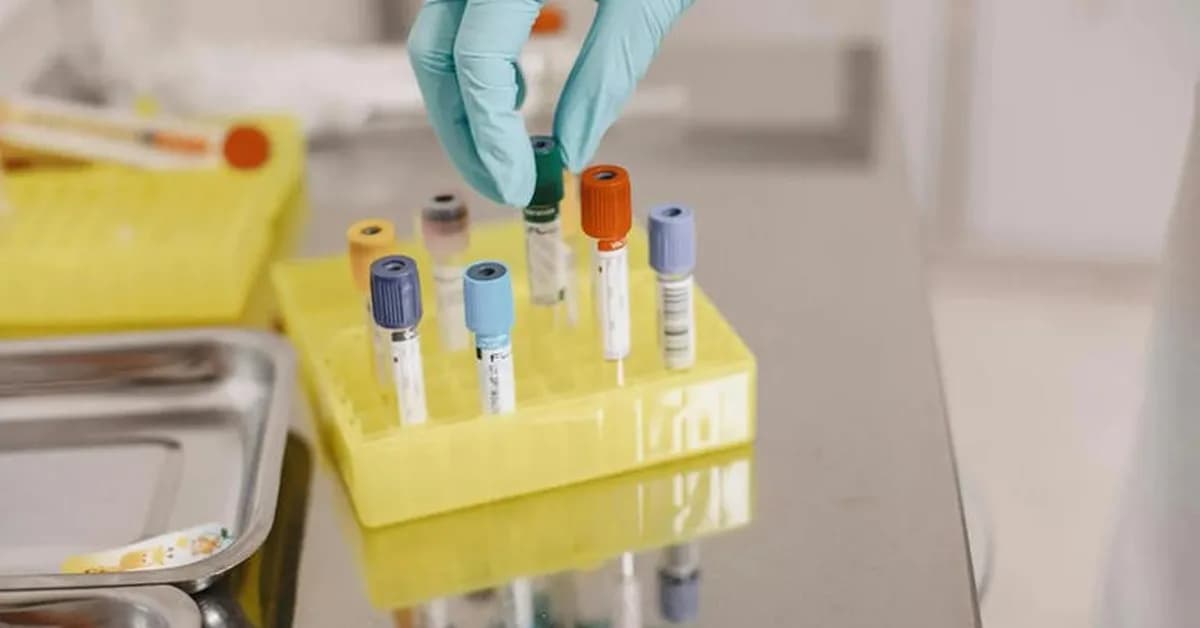 Australia to quarantine six people from hantavirus ship