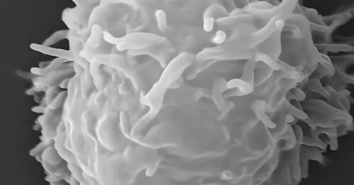 Man dies covered in necrotic lesions after amoebas eat him alive