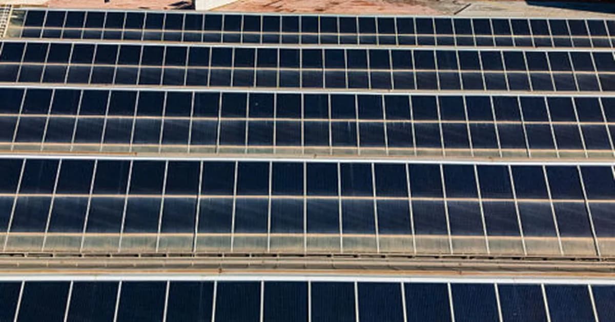 Renewables dominate 2025's newly installed generating capacity